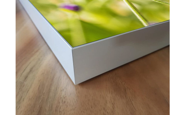 Akustikbild Lilane Wiesenblumen