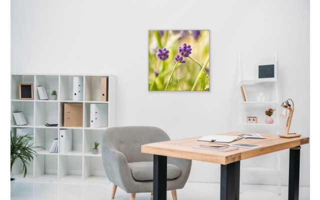 Akustikbild Lilane Wiesenblumen