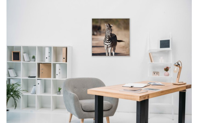 Akustikbild Zebra