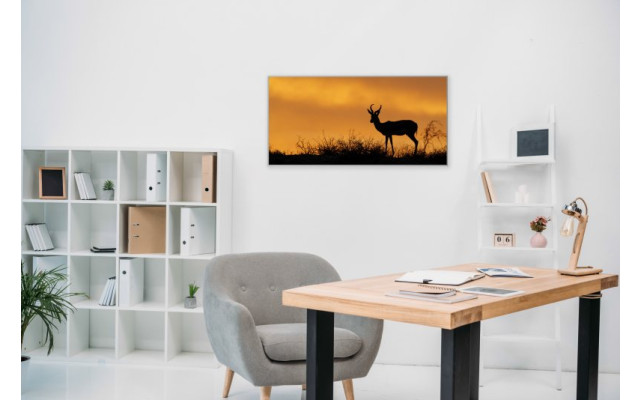 Akustikbild Impalla in der Wüste