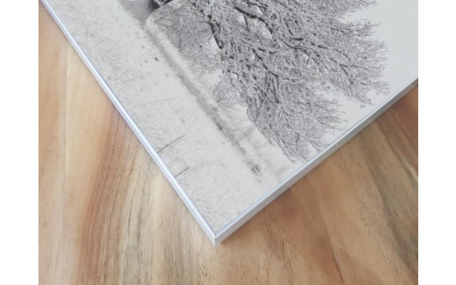 Akustikbild Schneebedeckter Baum
