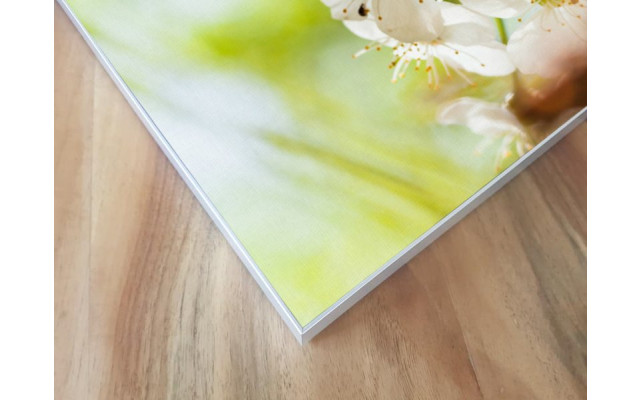 Akustikbild Bienen und Blumen