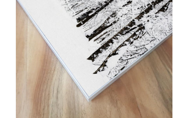 Akustikbild Verschneiter Wald