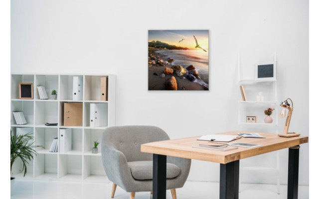 Akustikbild Möwen am Strand