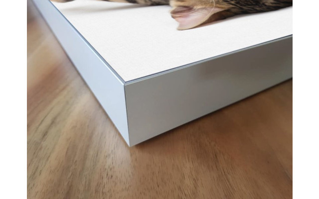 Akustikbild Müde Katze
