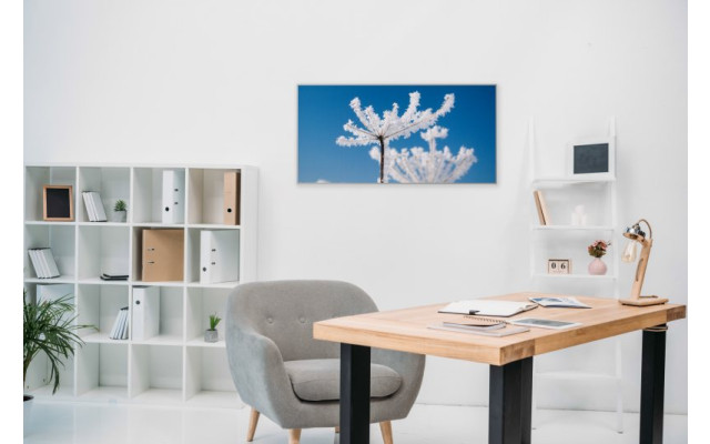 Akustikbild Vereiste Blume