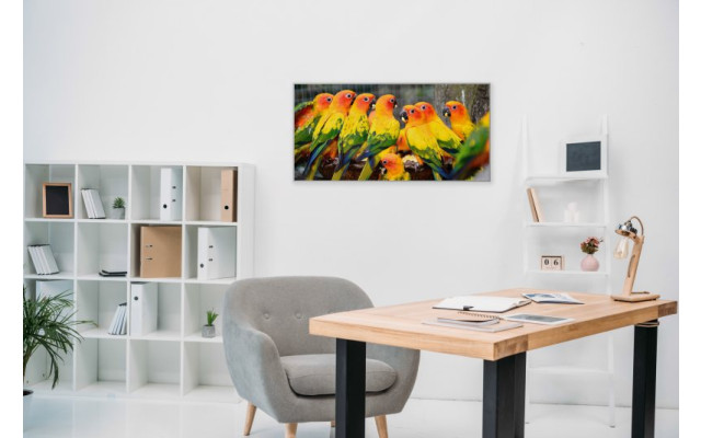 Akustikbild Papagei Versammlung