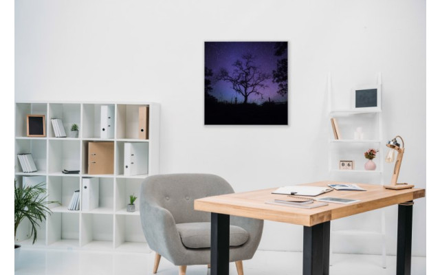 Akustikbild Kahler Baum bei Nacht