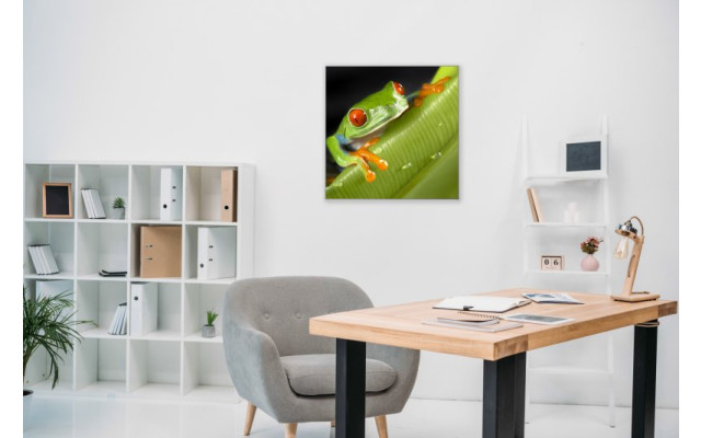 Akustikbild Hallo Frosch