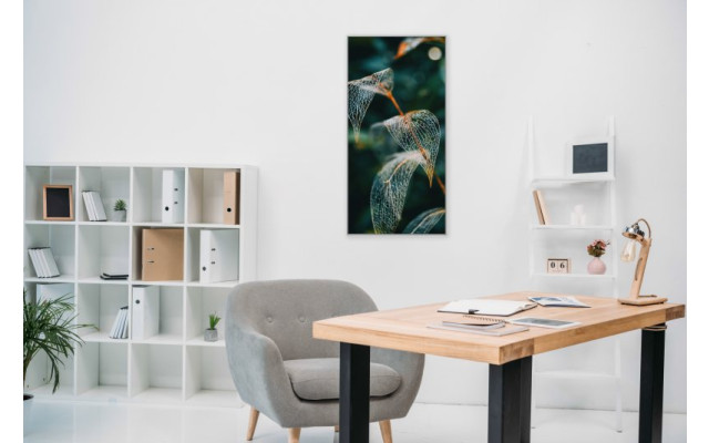 Akustikbild Blattskelett