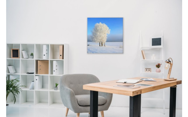 Akustikbild Schneebaum in der Landschaft