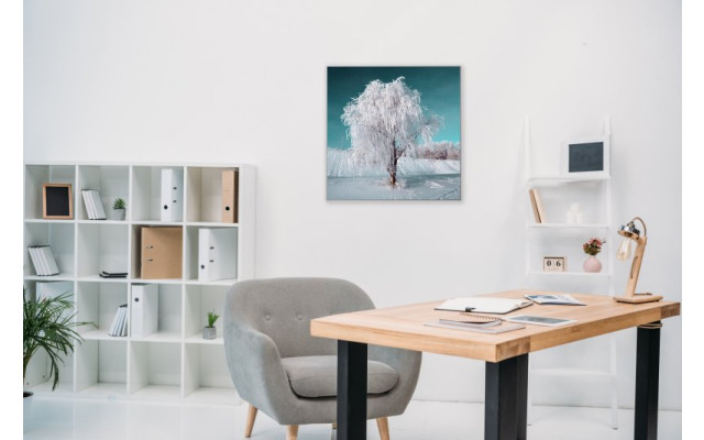 Akustikbild Schneebedeckter Baum unter blauem Himmel