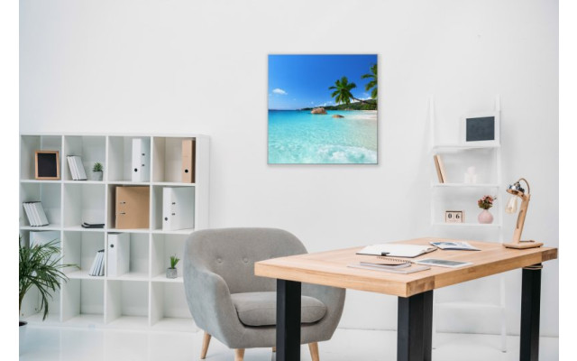 Akustikbild Palme