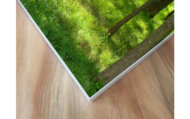 Akustikbild Grüne Lichtung