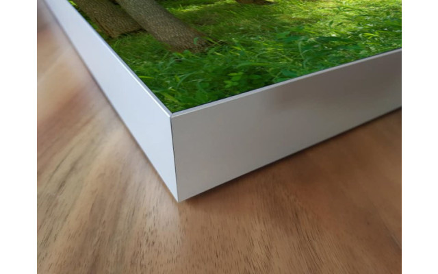 Akustikbild Grüne Lichtung