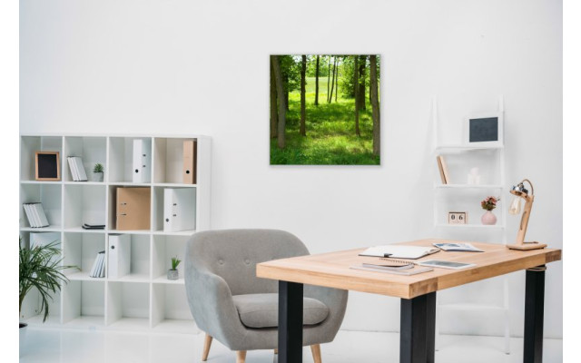 Akustikbild Grüne Lichtung