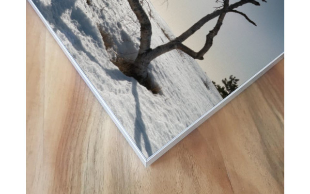 Akustikbild Eiszeit
