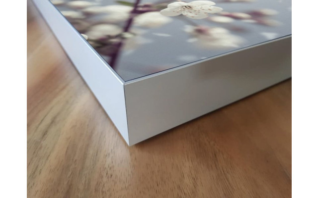 Akustikbild Frühling
