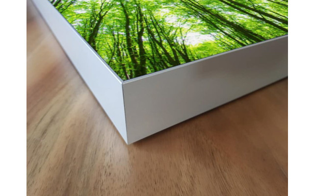 Akustikbild Laubbaum Lichtung