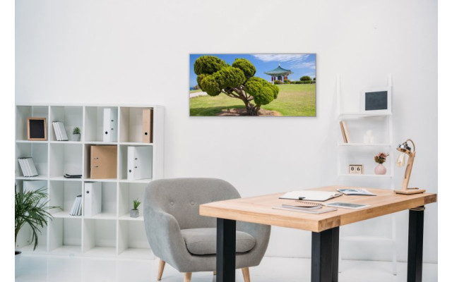 Akustikbild Schöner Baum in Asien