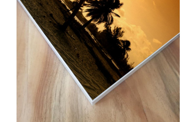 Akustikbild Palme im Sonnenuntergang