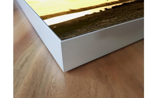 Akustikbild Palme im Sonnenuntergang