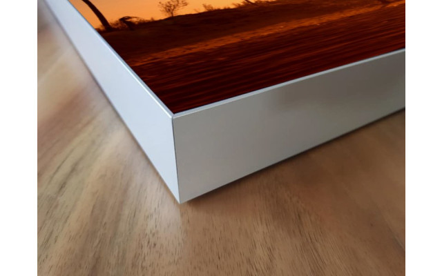 Akustikbild Palmengruppe im Sonnenuntergang