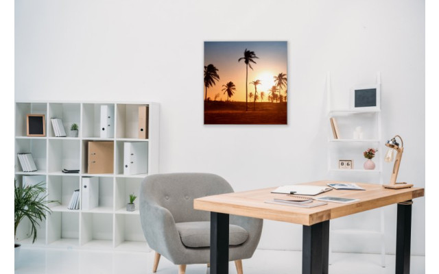 Akustikbild Palmengruppe im Sonnenuntergang