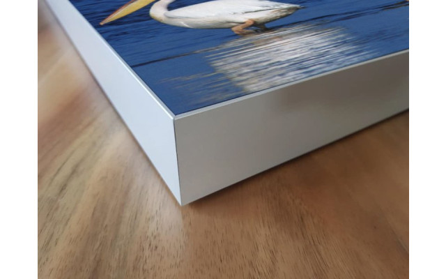 Akustikbild Pelikane im See