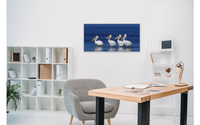 Akustikbild Pelikane im See
