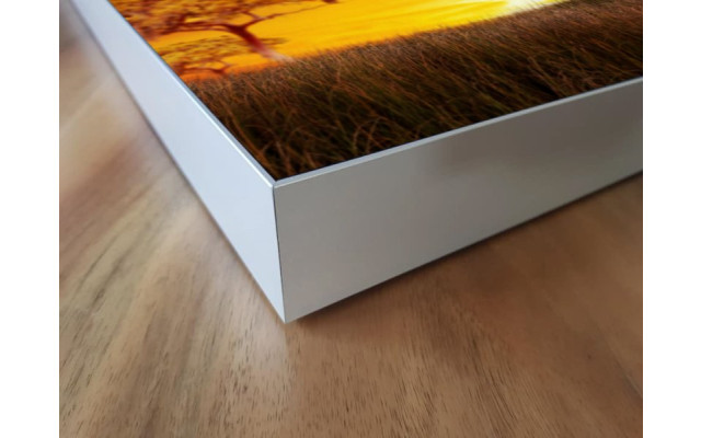 Akustikbild Giraffen