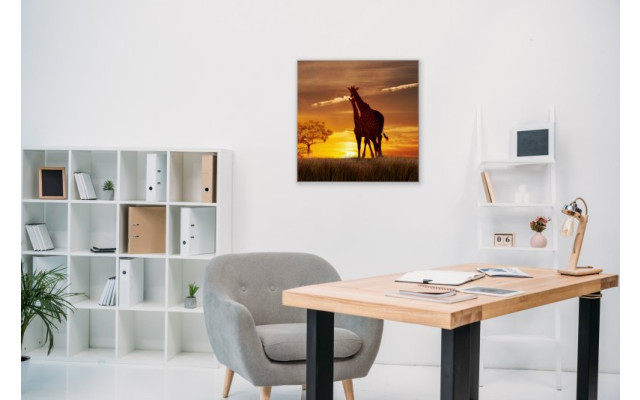 Akustikbild Giraffen