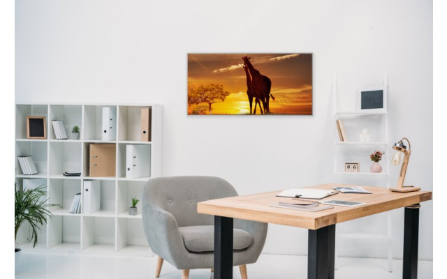 Akustikbild Giraffen
