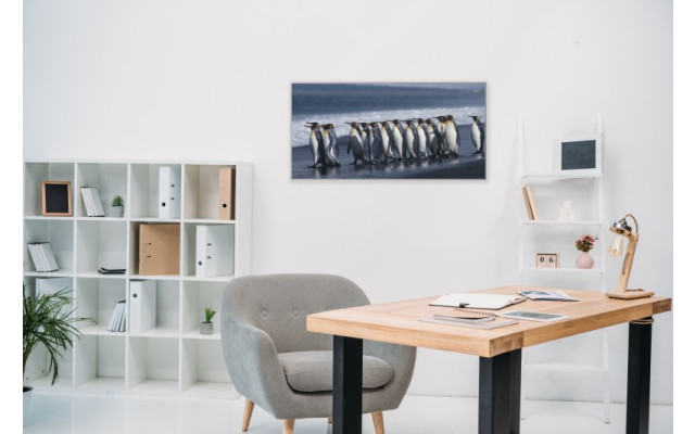 Akustikbild Pinguine