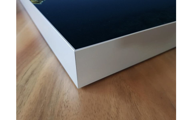 Akustikbild Meeresschildkröte
