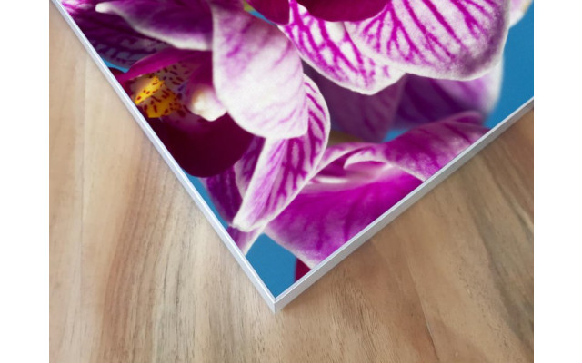 Akustikbild Lila Orchideen