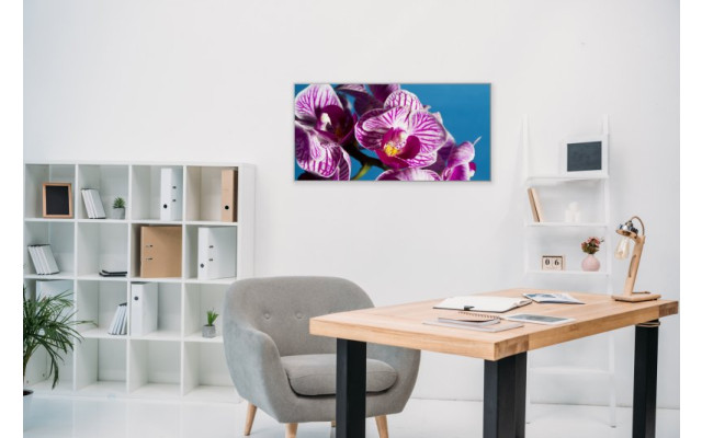 Akustikbild Lila Orchideen