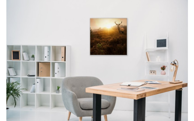 Akustikbild Großer Elch