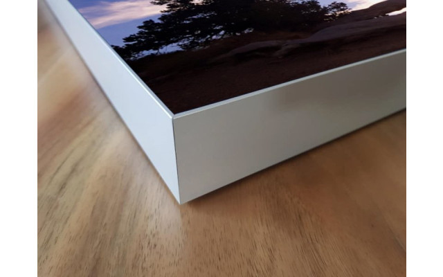 Akustikbild Baum im Sonnenuntergang