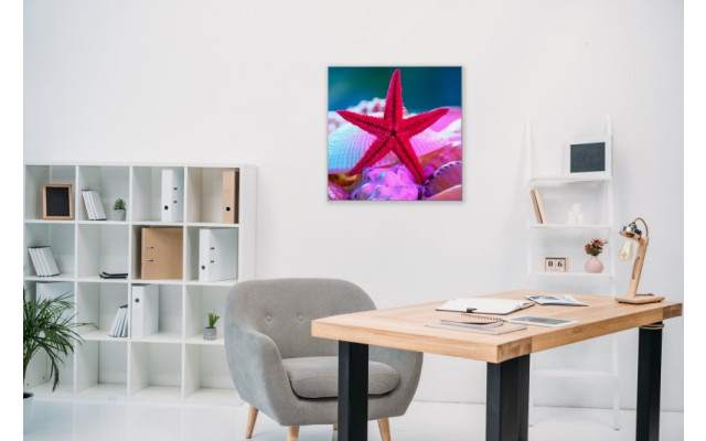 Akustikbild Roter Seestern