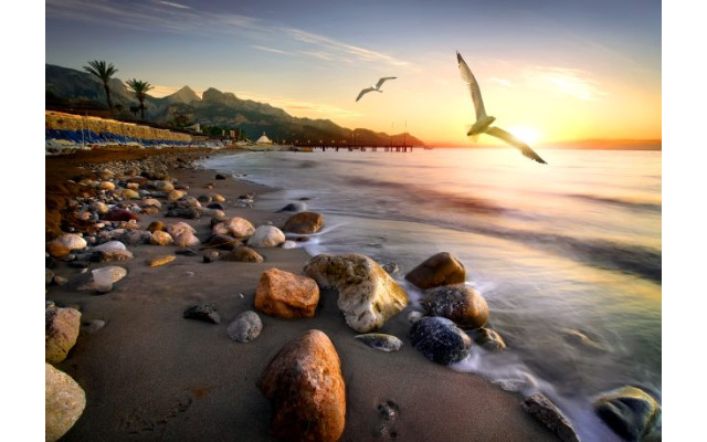 Akustikbild Möwen am Strand