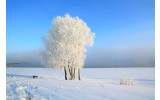 Akustikbild Schneebaum in der Landschaft