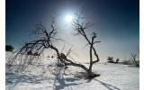Akustikbild Eiszeit