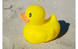 Akustikbild Gelbe Gummiente