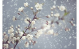Akustikbild Frühling