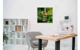 Akustikbild Papageien Trio