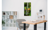 Akustikbild Papageien Trio