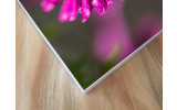 Akustikbild Lila Blume