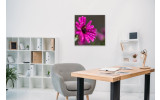 Akustikbild Lila Blume