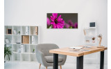 Akustikbild Lila Blume